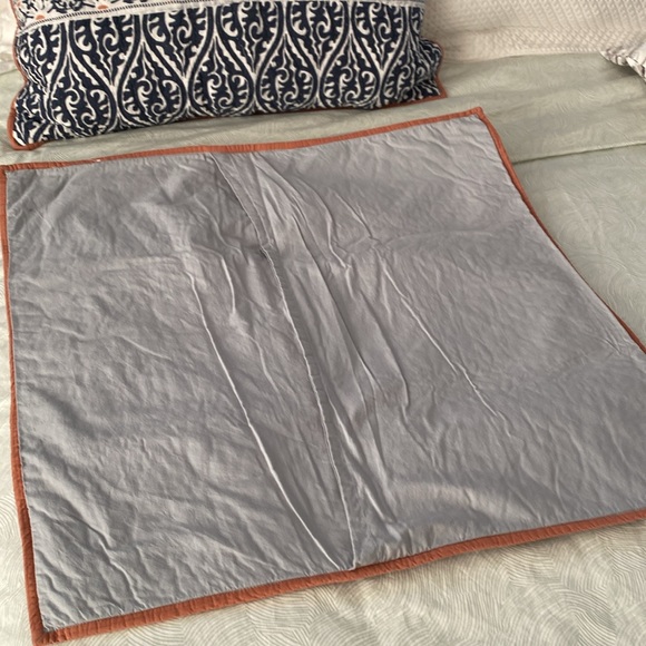 Pottery Barn Pia Medallion Euro shams - Picture 6 of 6